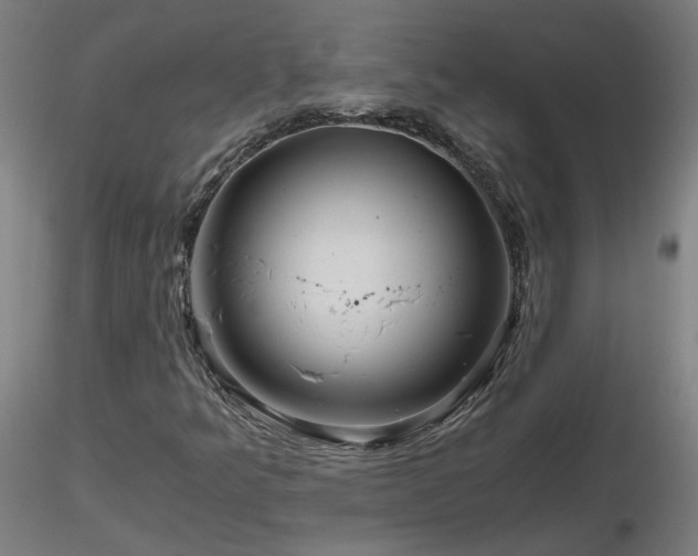 X0000116801349200912181308