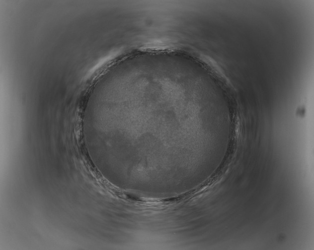 X0000116801350200912181308