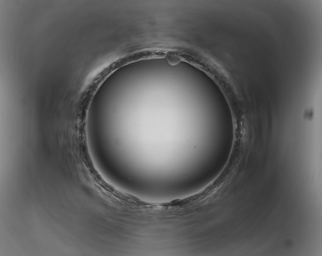 X0000116801352200912181308