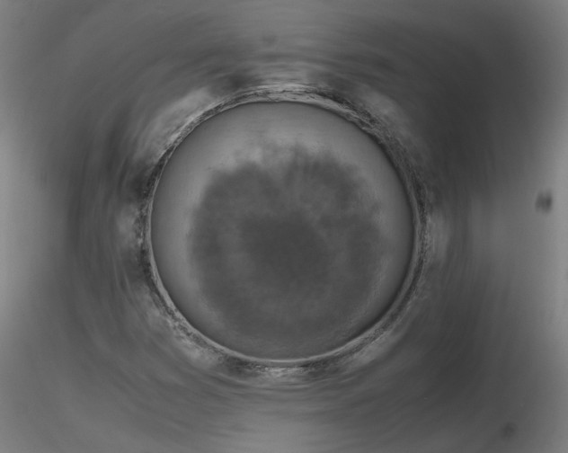 X0000116801353200912181308