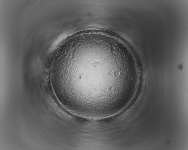X0000116801355200912181308