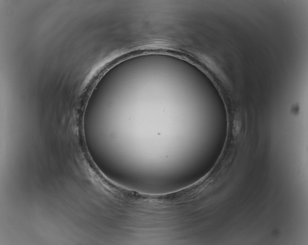 X0000116801356200912181308