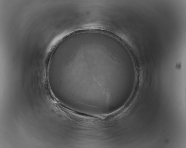 X0000116801358200912181308