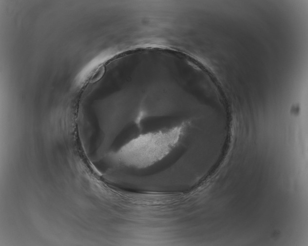X0000116801359200912181308