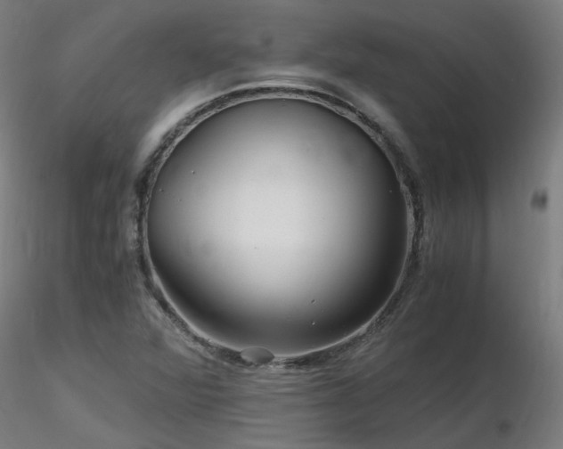 X0000116801360200912181308