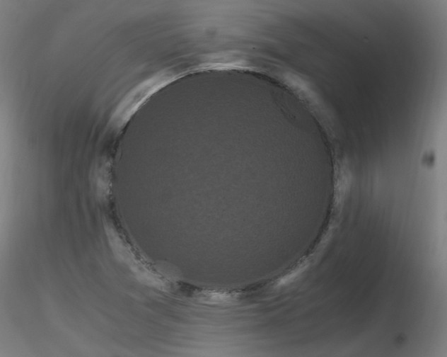 X0000116801361200912181308