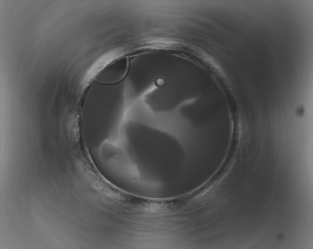 X0000116801362200912181308