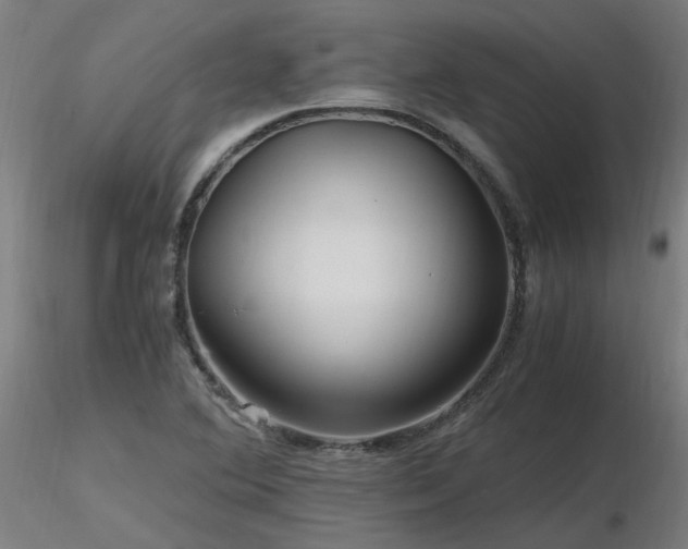 X0000116801364200912181308
