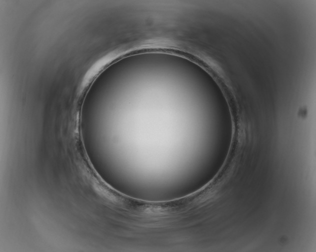 X0000116801366200912181308