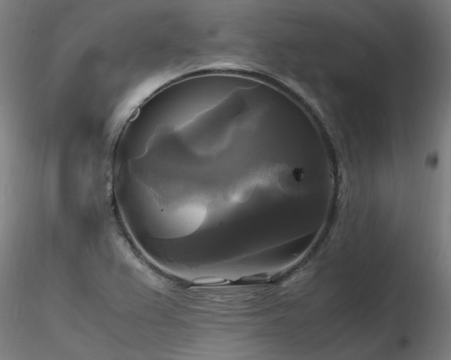 X0000116801367200912181308