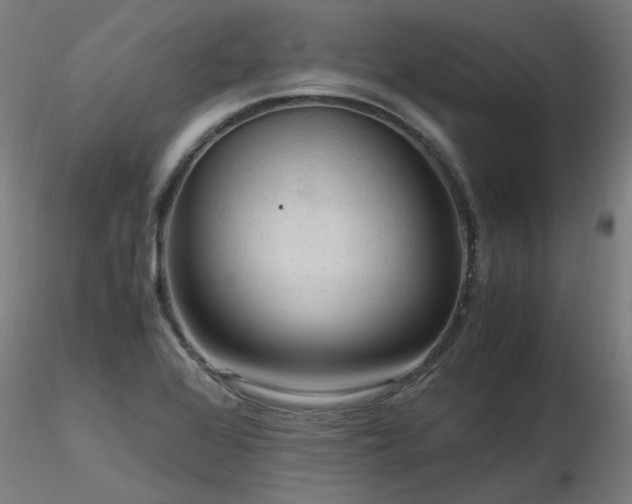 X0000116801368200912181308