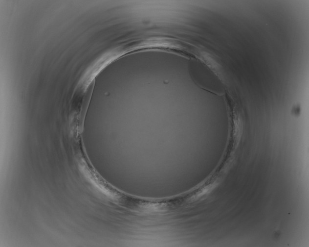 X0000116801369200912181308