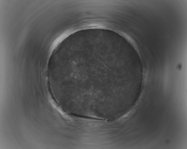X0000116801373200912181308
