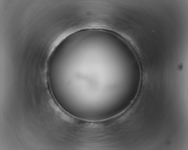 X0000116801374200912181308