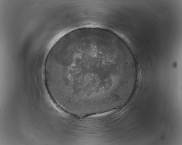X0000116801375200912181308