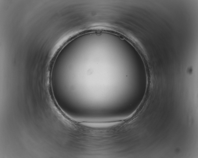 X0000116801376200912181308