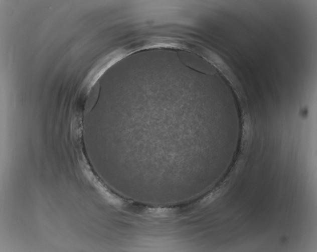 X0000116801377200912181308
