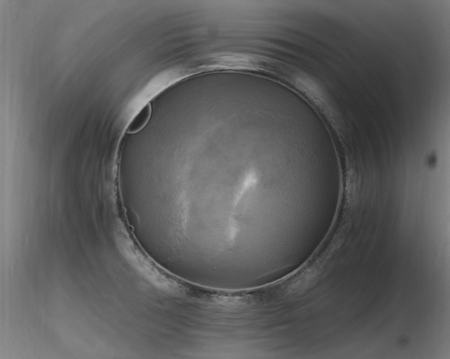 X0000116801378200912181308