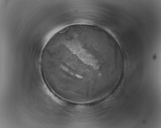 X0000116801379200912181308