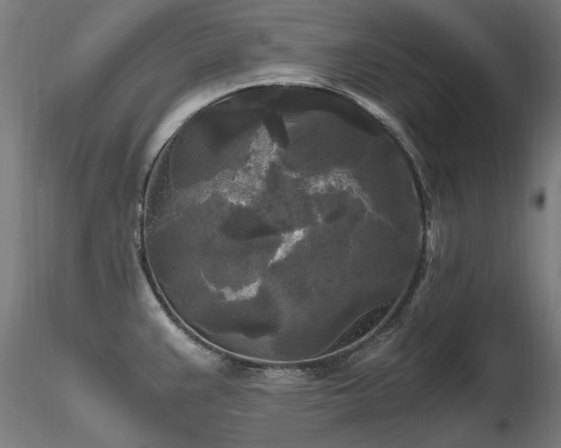 X0000116801383200912181308