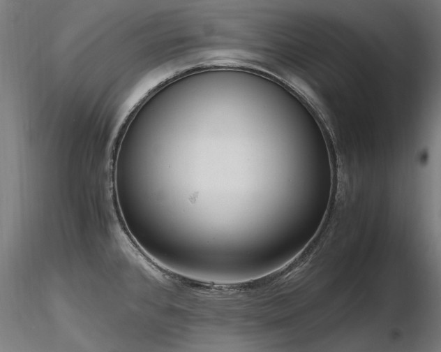 X0000116801384200912181308