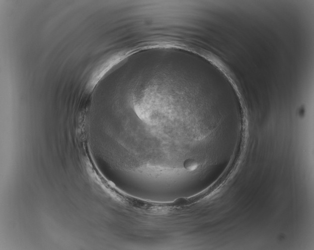 X0000116801385200912181308