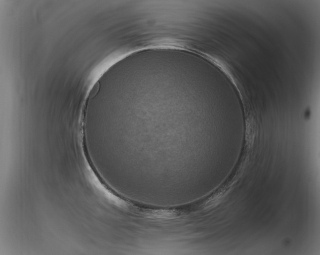 X0000116801387200912181308