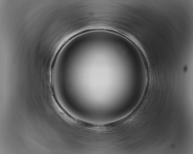 X0000116801388200912181308
