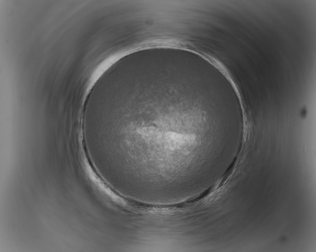 X0000116801389200912181308