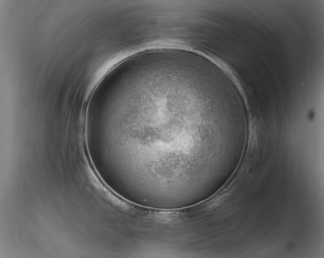 X0000116801390200912181308