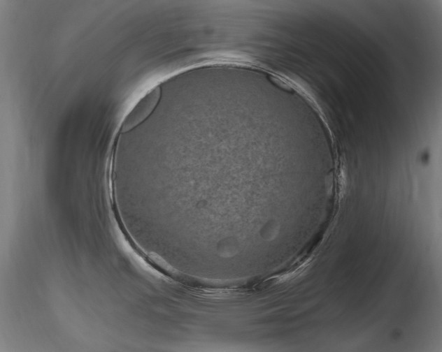 X0000116801391200912181308