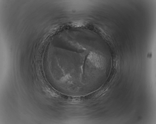 X0000116801393200912181307
