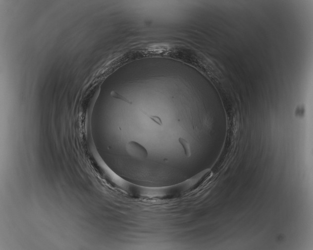 X0000116801394200912181307