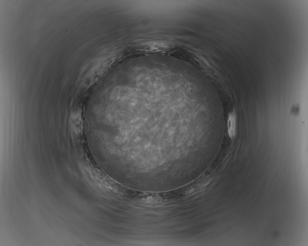 X0000116801395200912181307