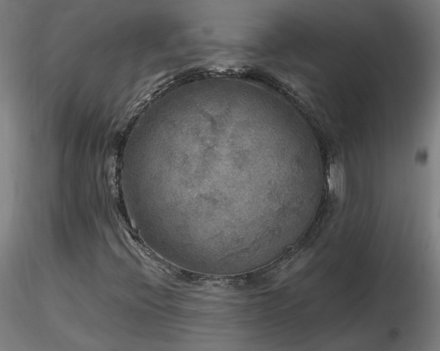 X0000116801396200912181307