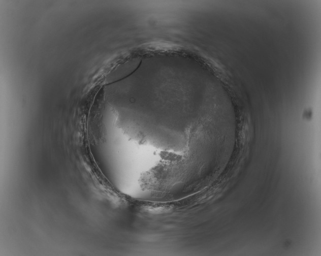 X0000116801397200912181307