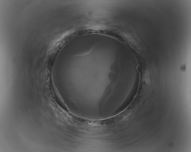 X0000116801398200912181307