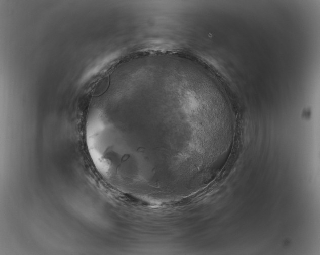 X0000116801399200912181307