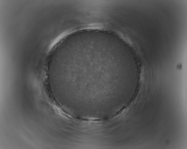 X0000116801400200912181307
