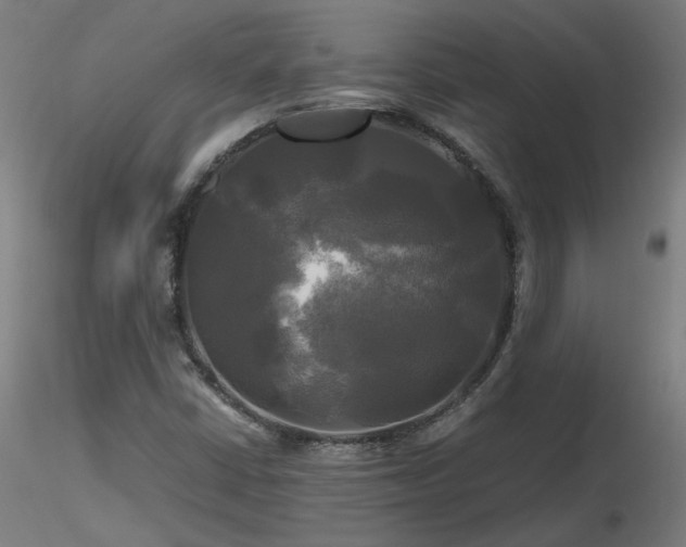 X0000116801402200912181307
