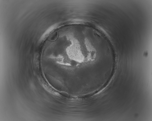 X0000116801403200912181307