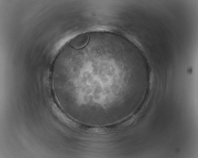X0000116801404200912181307