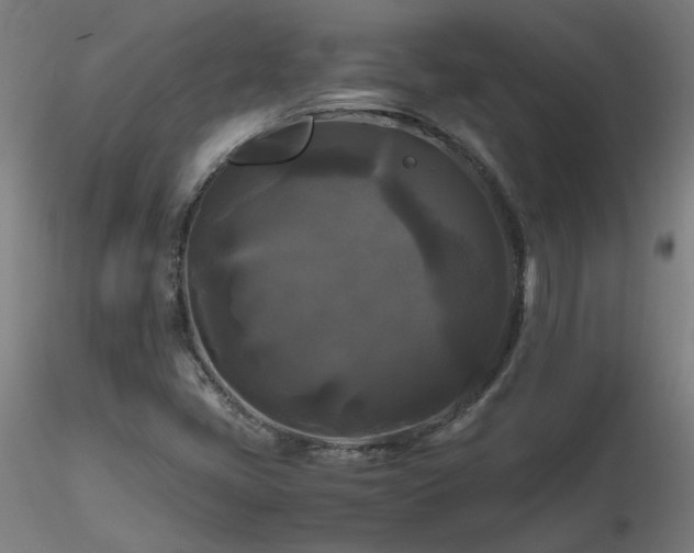 X0000116801405200912181307