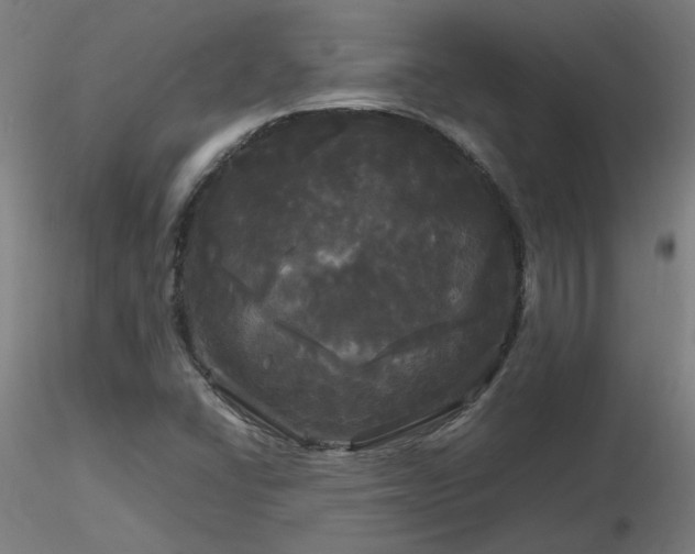 X0000116801406200912181307