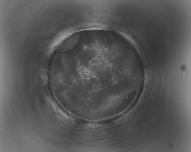 X0000116801407200912181307