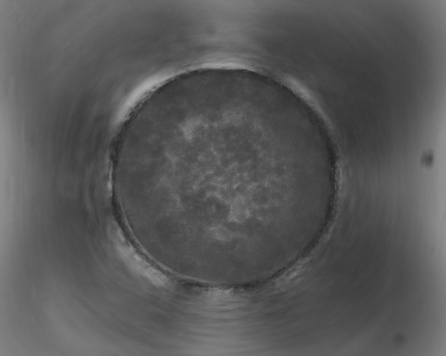 X0000116801408200912181307