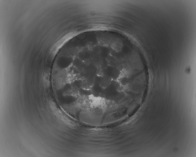 X0000116801409200912181307