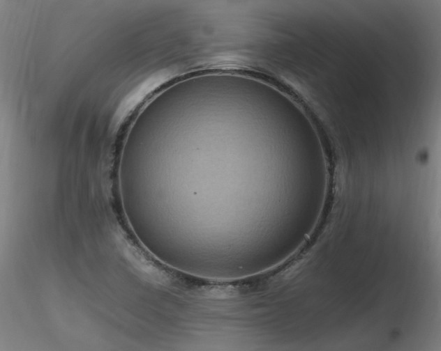 X0000116801410200912181307
