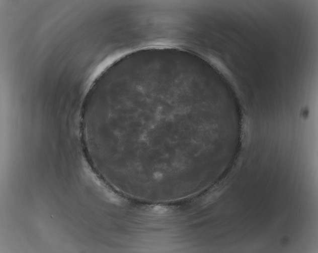 X0000116801412200912181307