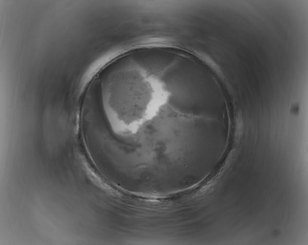 X0000116801413200912181307